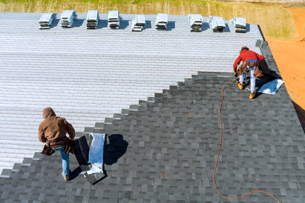 Best Roof Gutter Cleaning  in Olmos Park, TX